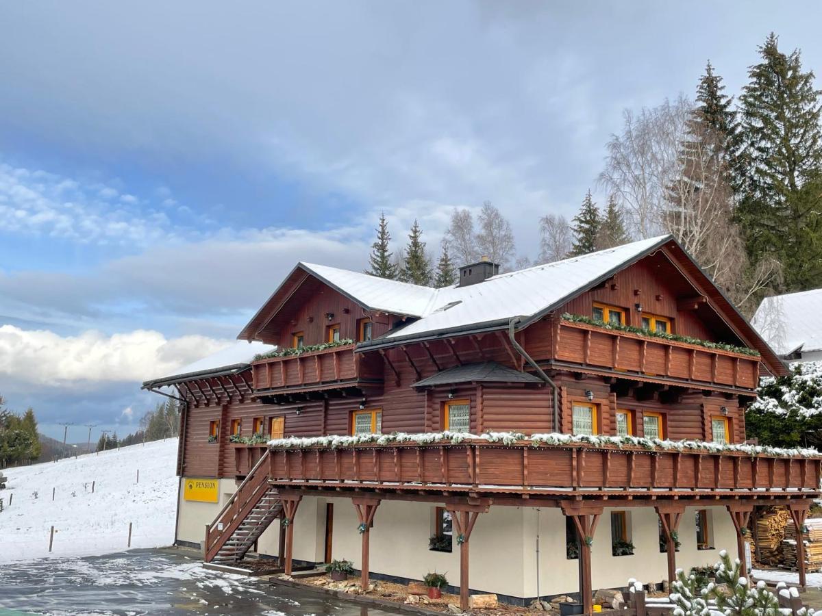 Pension Grizzly Hotel Ludvikov Exterior photo