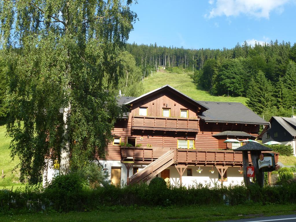 Pension Grizzly Hotel Ludvikov Exterior photo