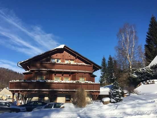 Pension Grizzly Hotel Ludvikov Exterior photo