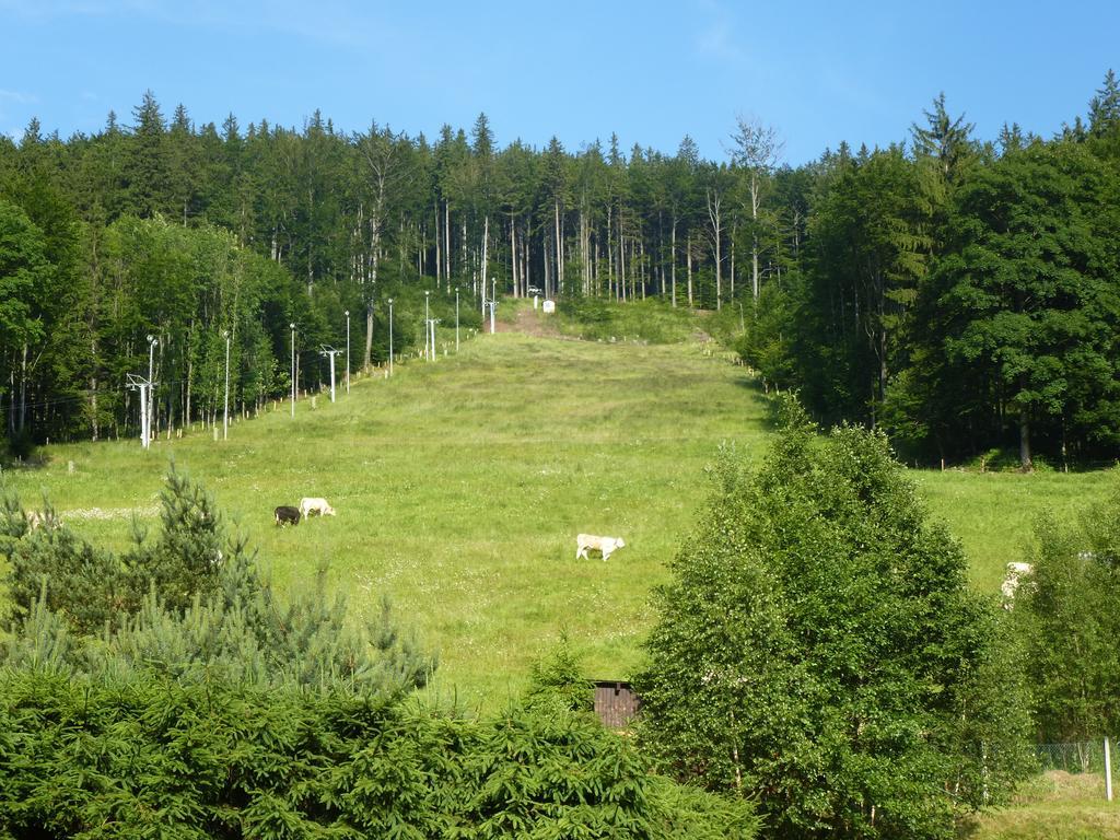 Pension Grizzly Hotel Ludvikov Exterior photo