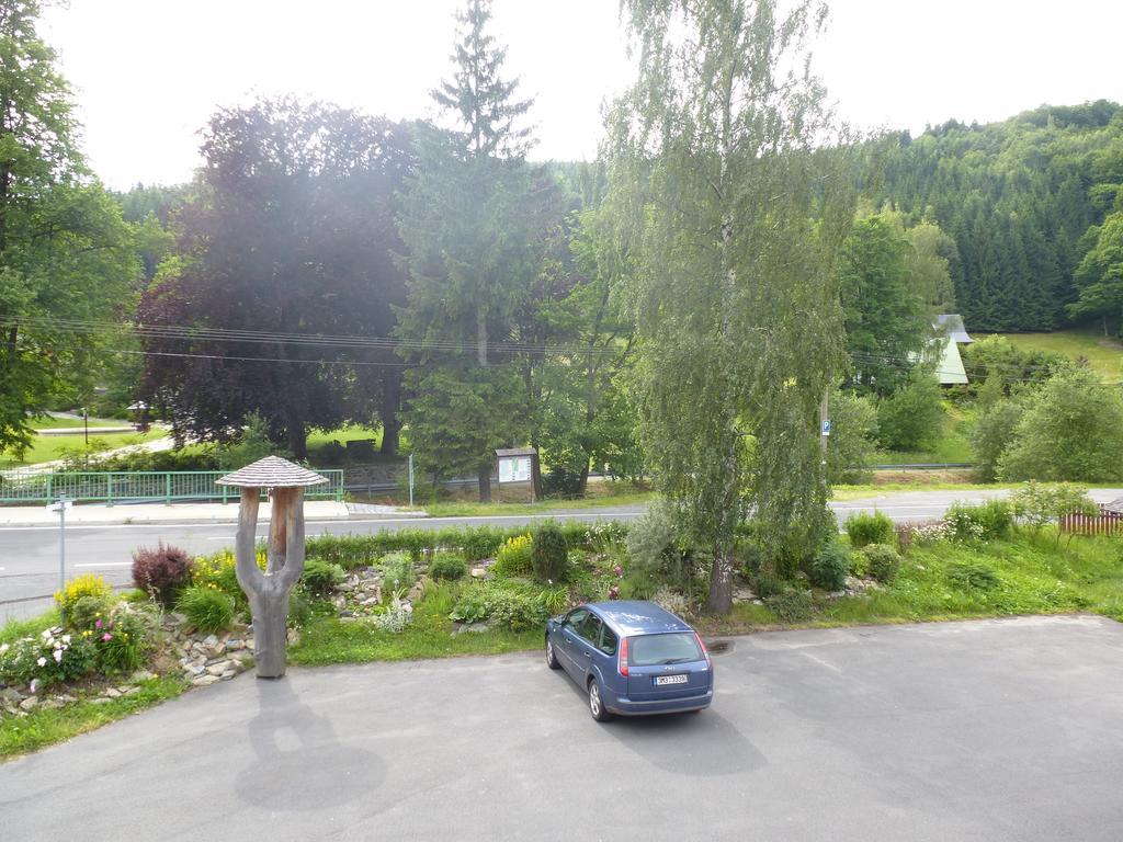 Pension Grizzly Hotel Ludvikov Exterior photo